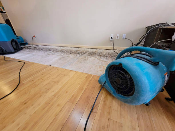 Professional Sewage Cleanup technician working in Fremont, CA